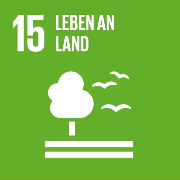 Nachhaltigkeitsziele der Vereinten Nationen SDG 15