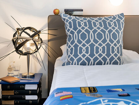 Cozy Business Zimmer Betthaupt