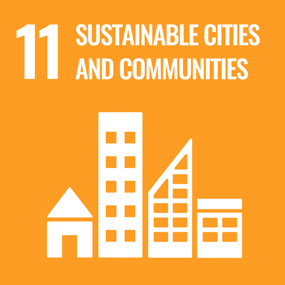 Sustainable Development Goals - SDG 11