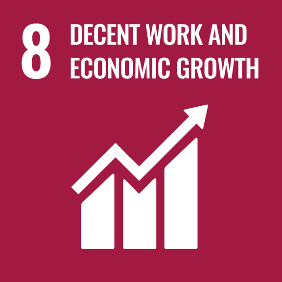 Sustainable Development Goals - SDG 8
