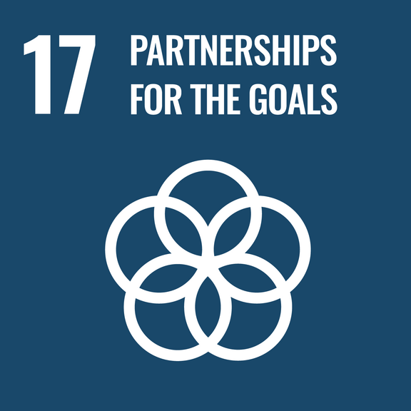Sustainable Development Goals - SDG 17