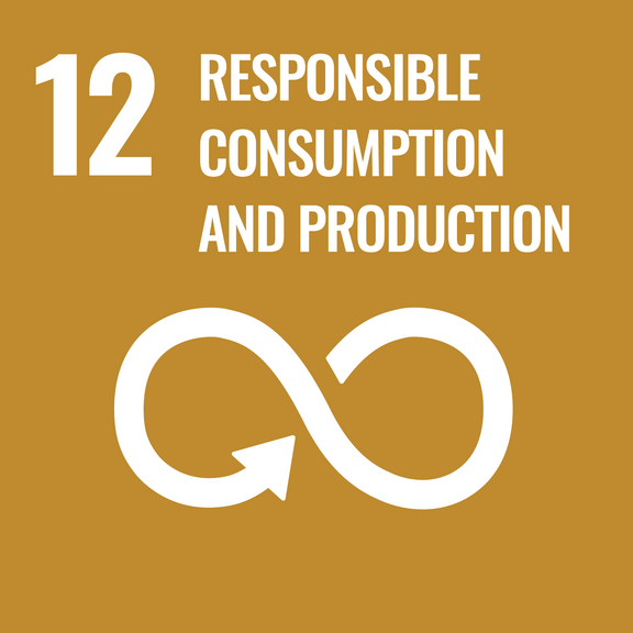 Sustainable Development Goals - SDG 12