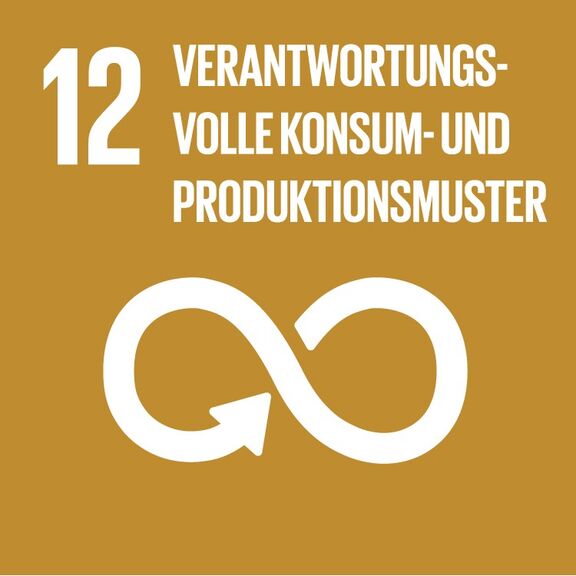 Nachhaltigkeitsziele der Vereinten Nationen SDG 12