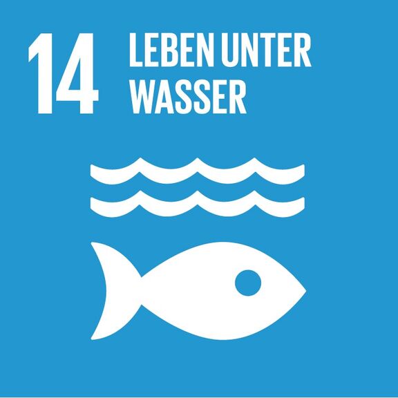 Nachhaltigkeitsziele der Vereinten Nationen SDG 14