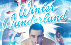 Christmas Variety Dinner & Show