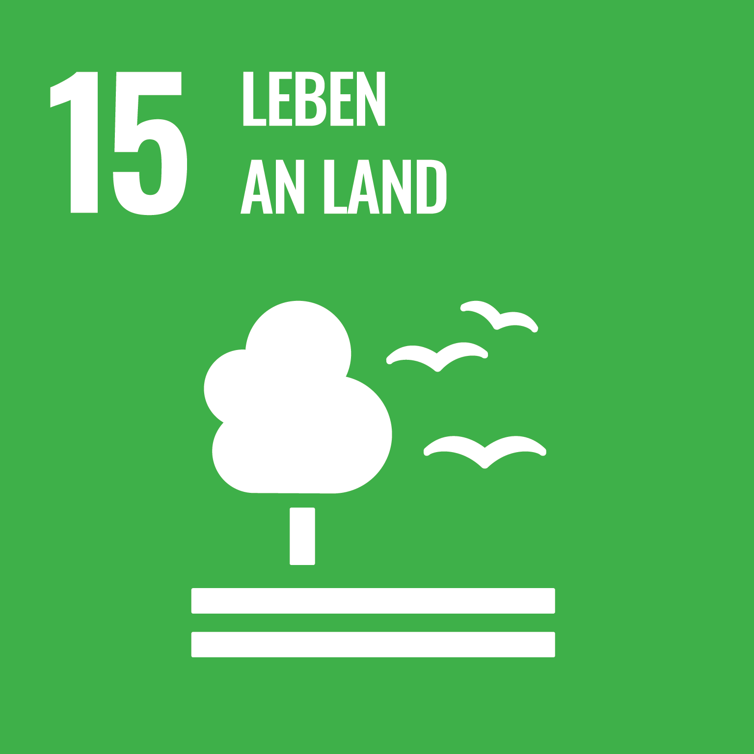 Nachhaltigkeitsziele der Vereinten Nationen SDG 15