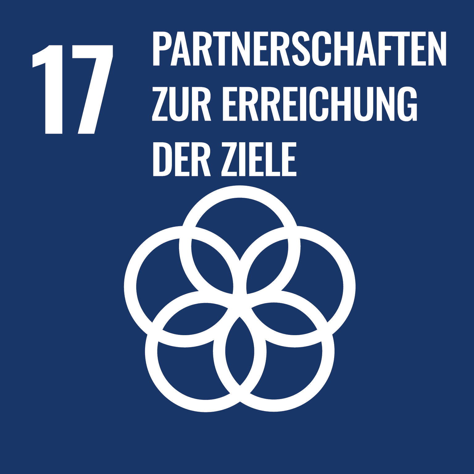 Nachhaltigkeitsziele der Vereinten Nationen SDG 17